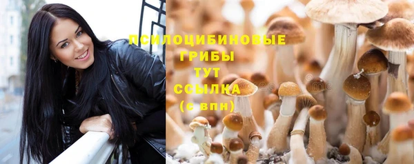 дурь Белокуриха