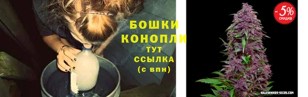 прущие крисы Беломорск