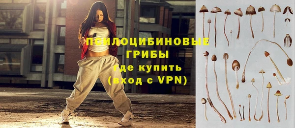 прущие крисы Беломорск