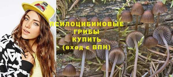 прущие крисы Беломорск