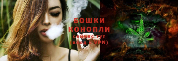 дурь Белокуриха