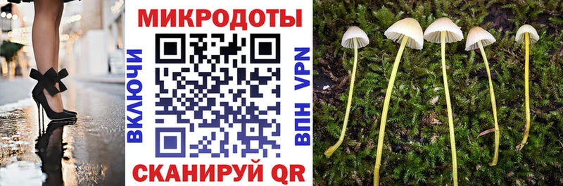 Купить закладки  Кунгур  Псилоцибиновые грибы Magic Shrooms 